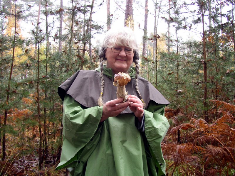 Champignons Le Mesle 06